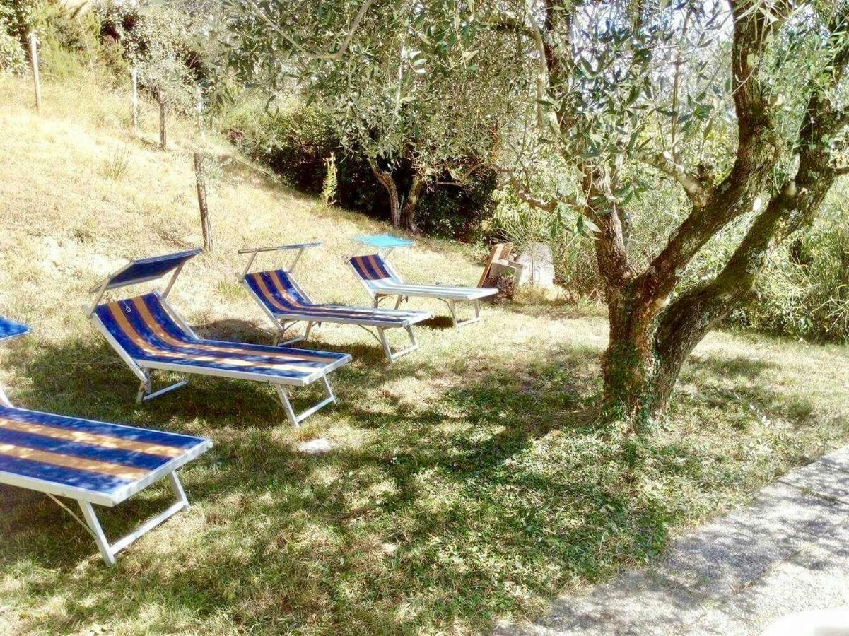 Ala Di Maniero In Agriturismo Valdrago In Toscana, Nel Verde Mugello Sulle Colline Di Firenze Borgo San Lorenzo Exteriér fotografie