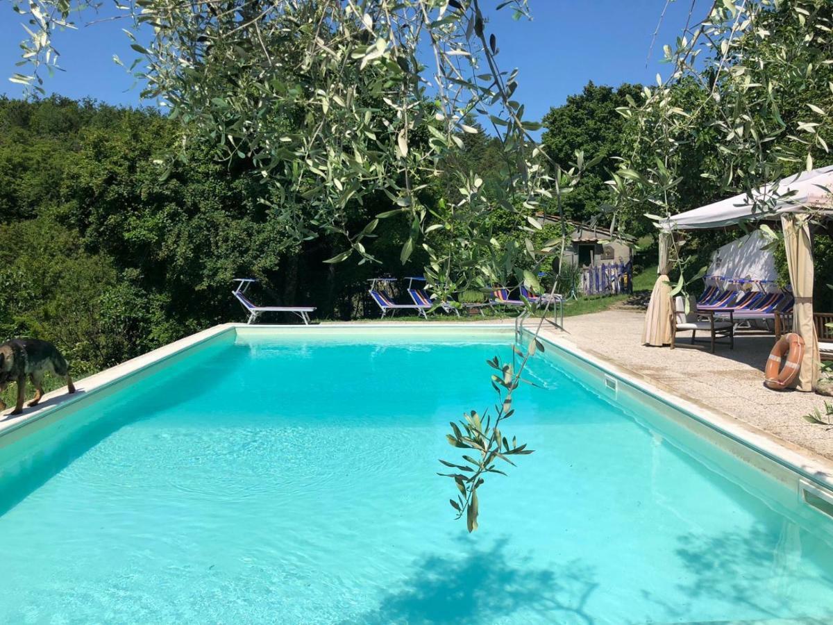 Ala Di Maniero In Agriturismo Valdrago In Toscana, Nel Verde Mugello Sulle Colline Di Firenze Autodromo Mugello Circuit Borgo San Lorenzo Exteriér fotografie